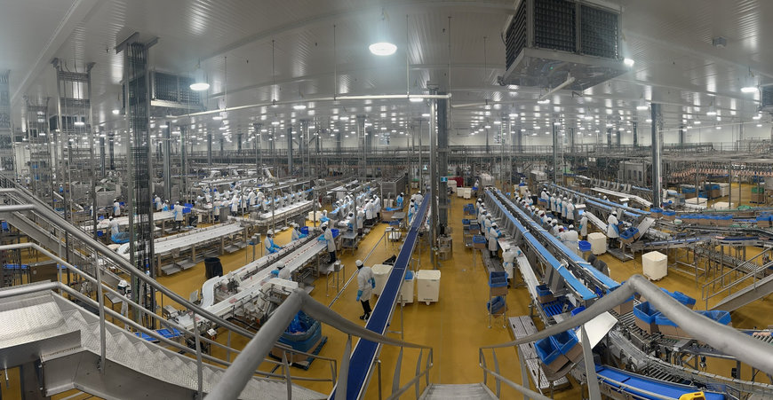 Ishida’s Collaborative Approach Maximises Success for Maple Leaf Foods